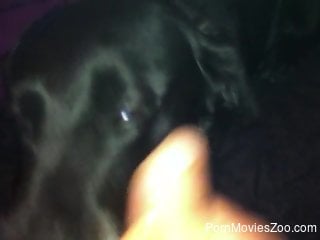 Open minded dude agrees to fuck this doggo orally