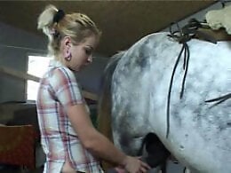 Animal porn and bestiality