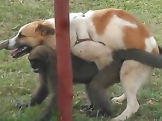 Zoo MILF
